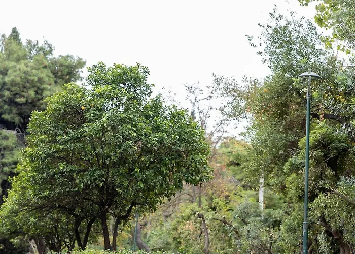 Appartement Timpani Athene